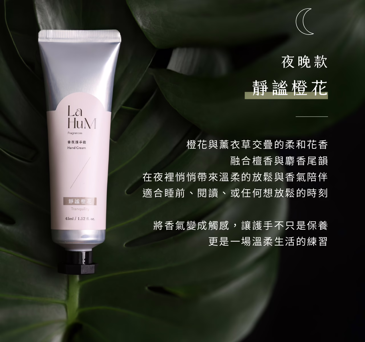 靜謐橙花(夜晚版):圖片 2